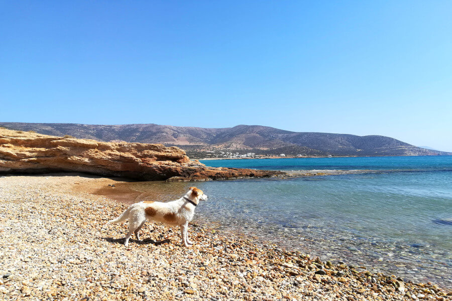 naxos beach